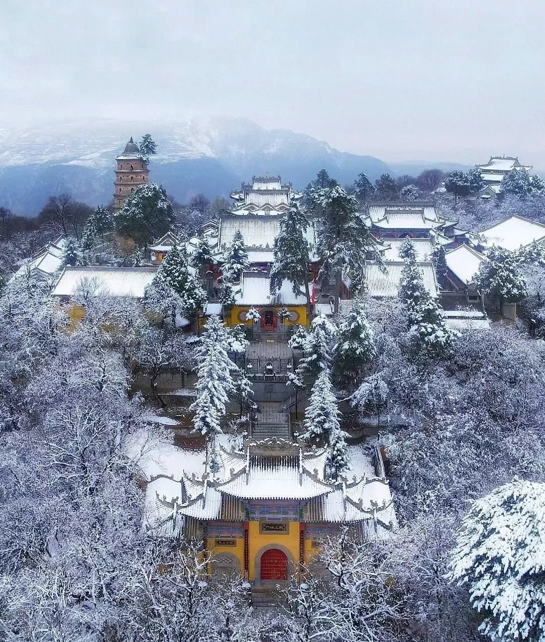陆小凤 摄