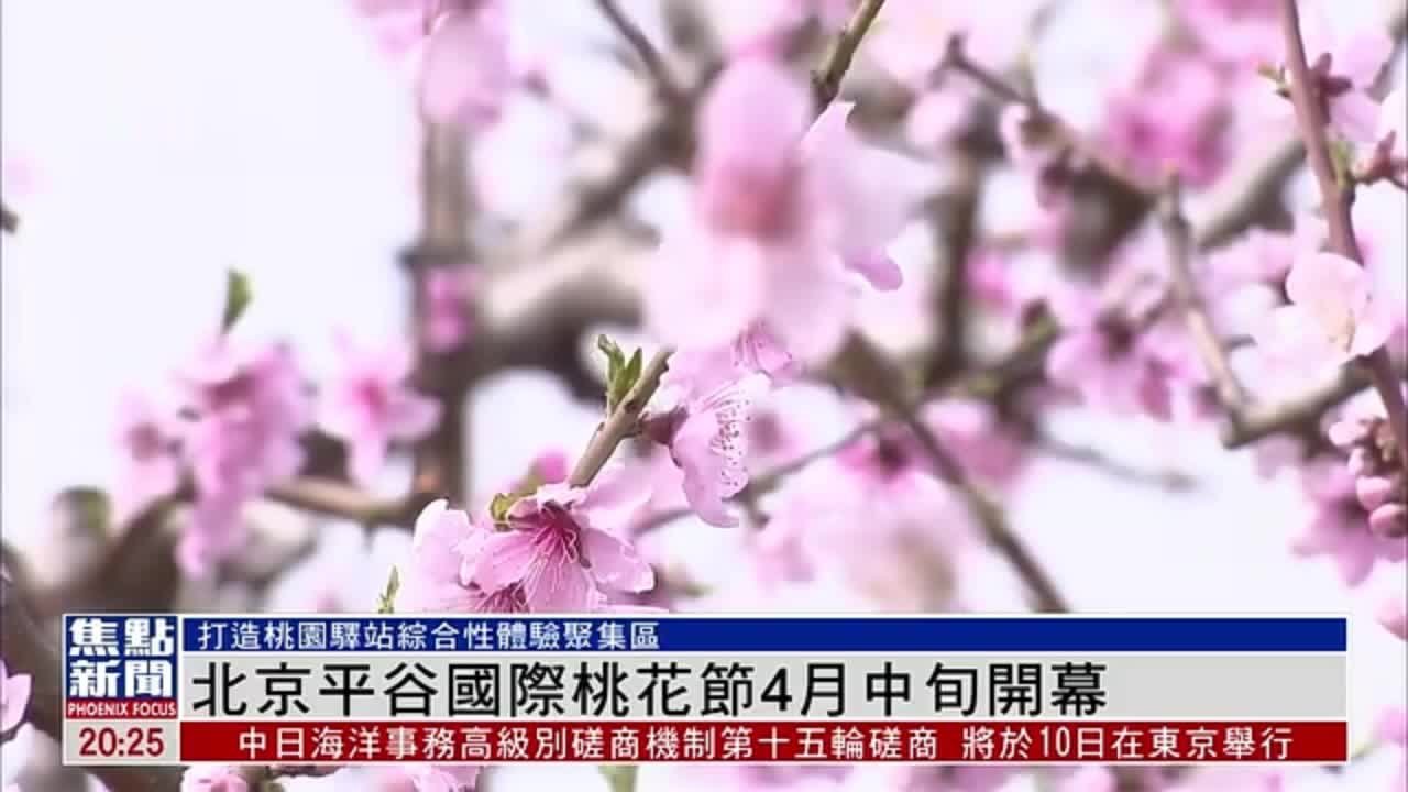 北京平谷第二十五届国际桃花节4月中旬开幕