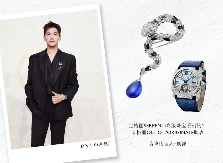 品牌代言人杨洋品牌代言人佟丽娅选择全新serpenti系列珠宝搭配华丽