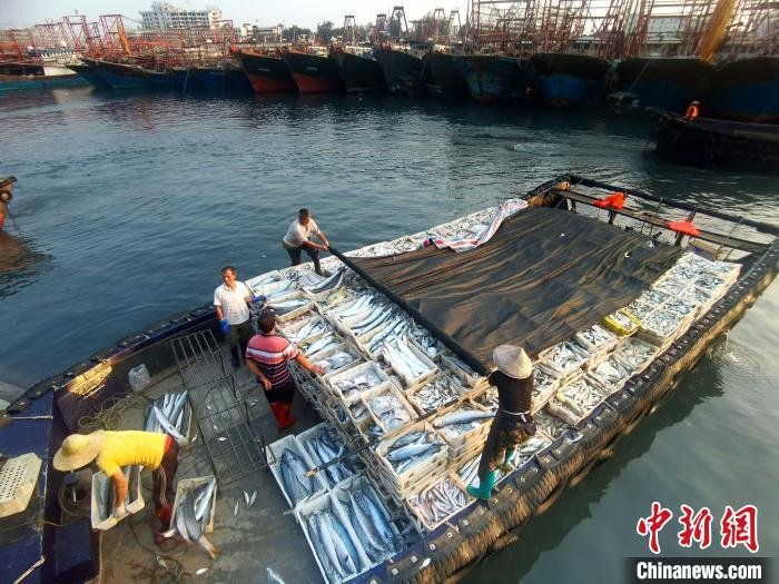 侨乡广西北海侨港镇渔民满载而归