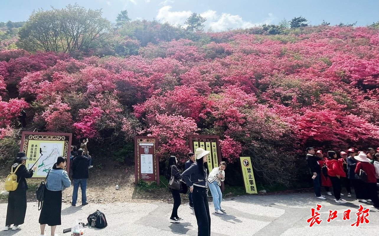 云雾山迎来赏花游客。记者何晓刚 摄