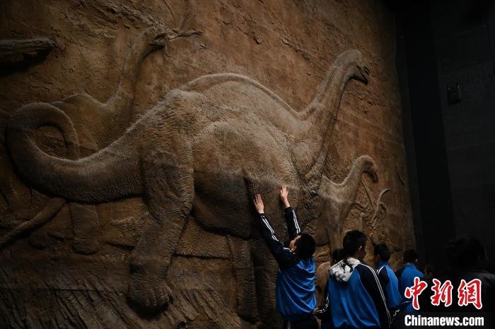 内蒙古呼和浩特市,视障学生触摸恐龙浮雕。 刘文华 摄