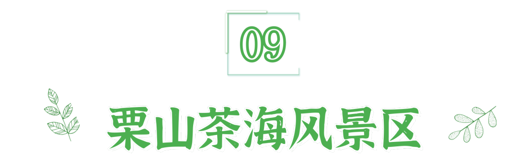 悠游古今 在山水茶韵中寻味滁州！