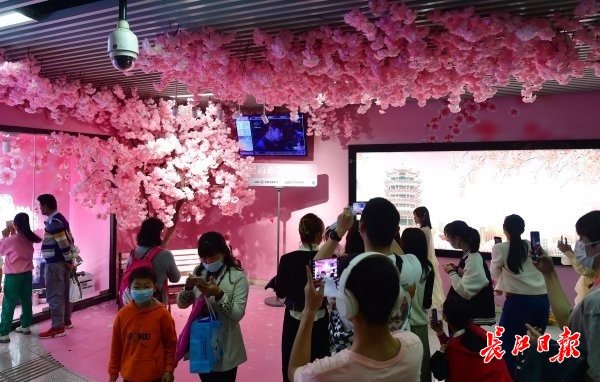 打卡拍照。记者李永刚 摄
