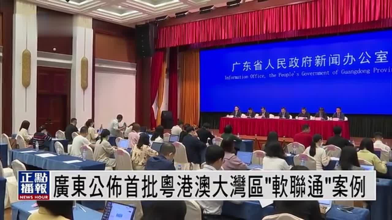 广东公布首批粤港澳大湾区“软联通”案例