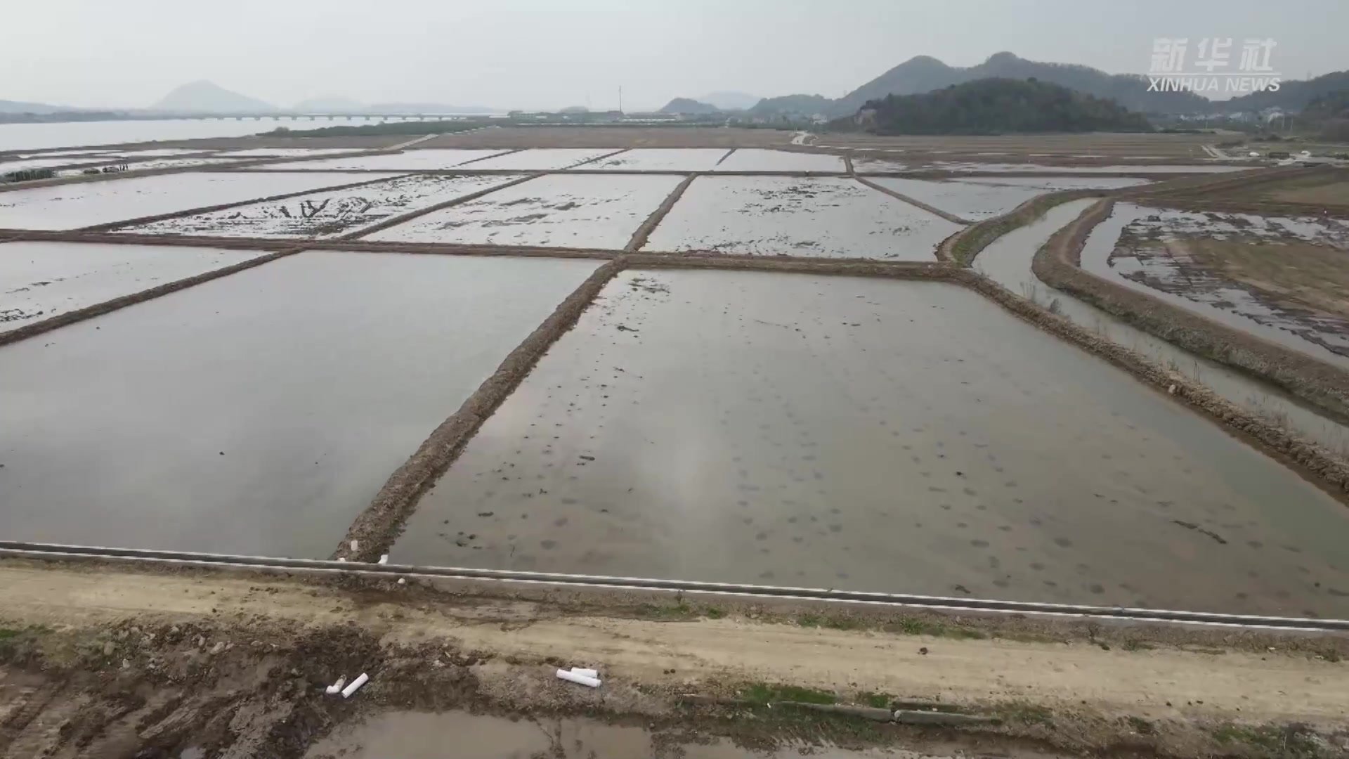 浙江宁海：“稻虾连作”促进一田双收