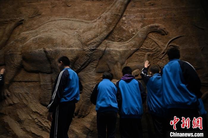 内蒙古呼和浩特市,视障学生触摸恐龙浮雕。 刘文华 摄