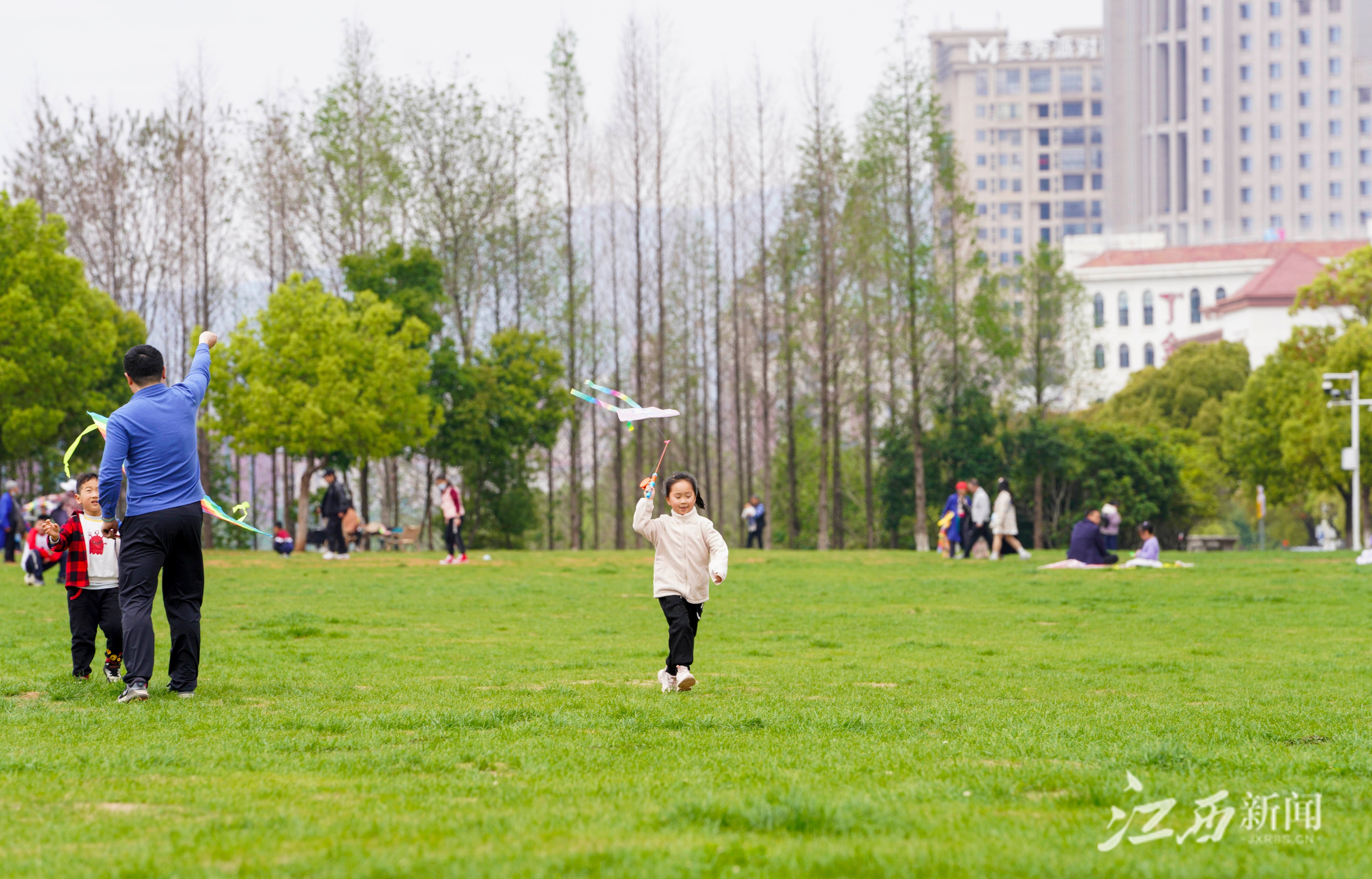南昌：忙趁春风放纸鸢（图）