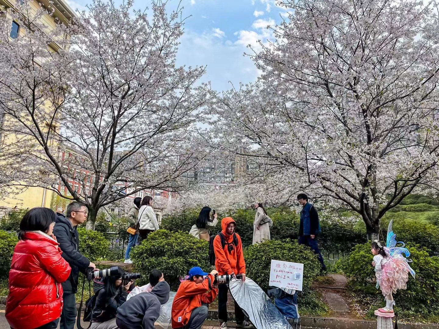 △正在给小朋友拍照的白一张和摄影爱好者们。图为受访者提供