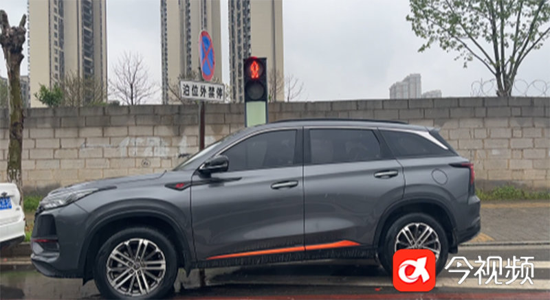 机动车违停在斑马线上