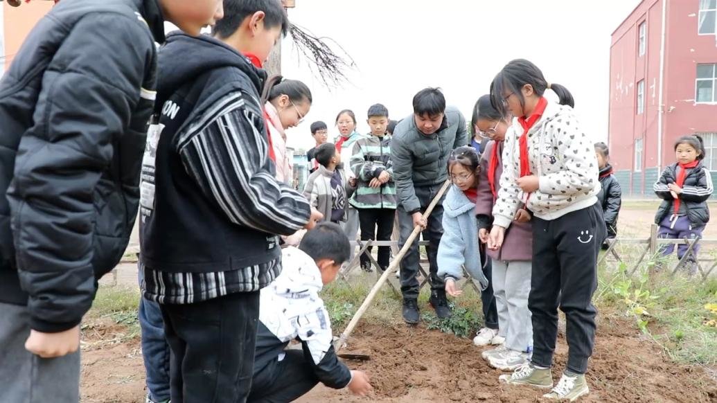 老师带小学生下地种花生：培养孩子从小珍惜粮食