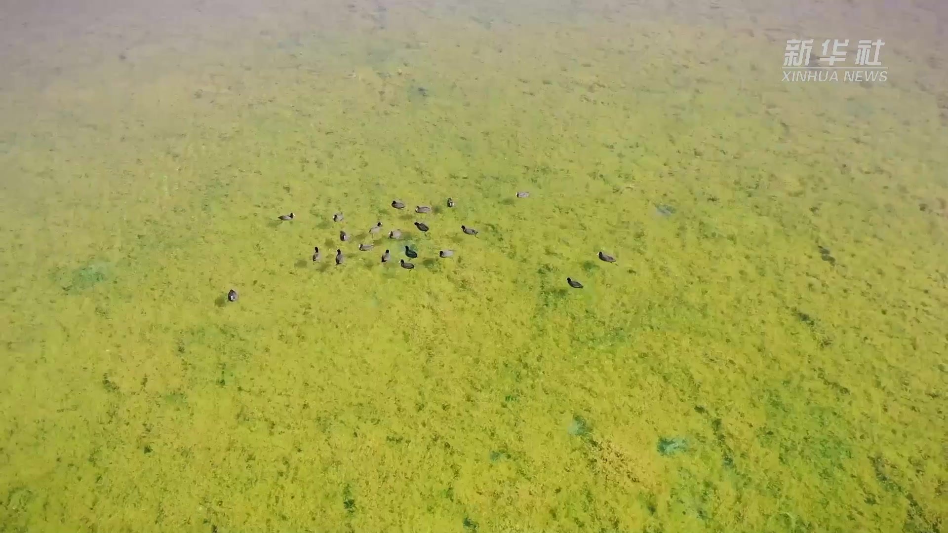 千城胜景丨宁夏红寺堡区：邂逅春天