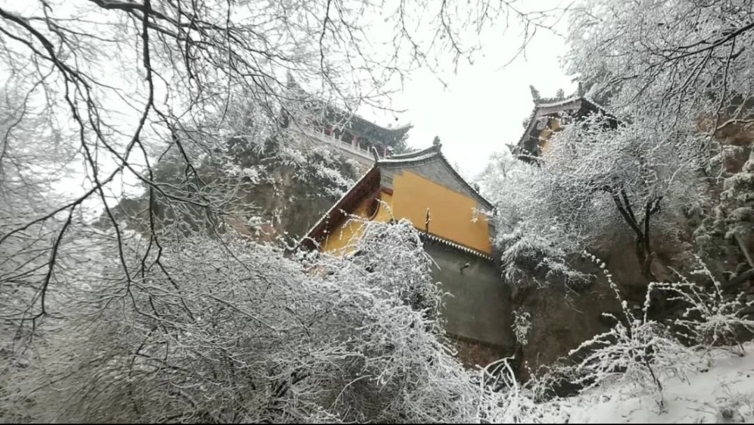 徐振华 摄