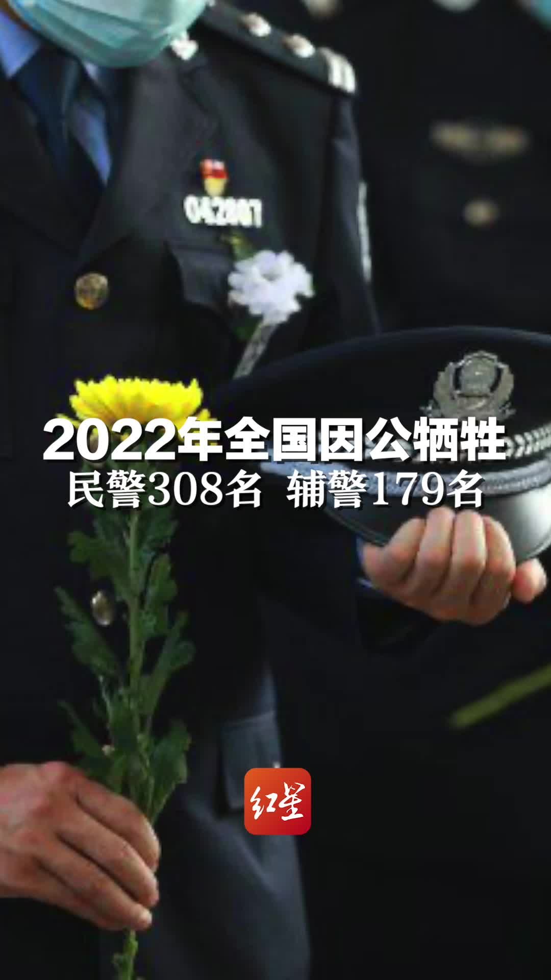 别忘记他们！2022年全国因公牺牲民警308名、辅警179名