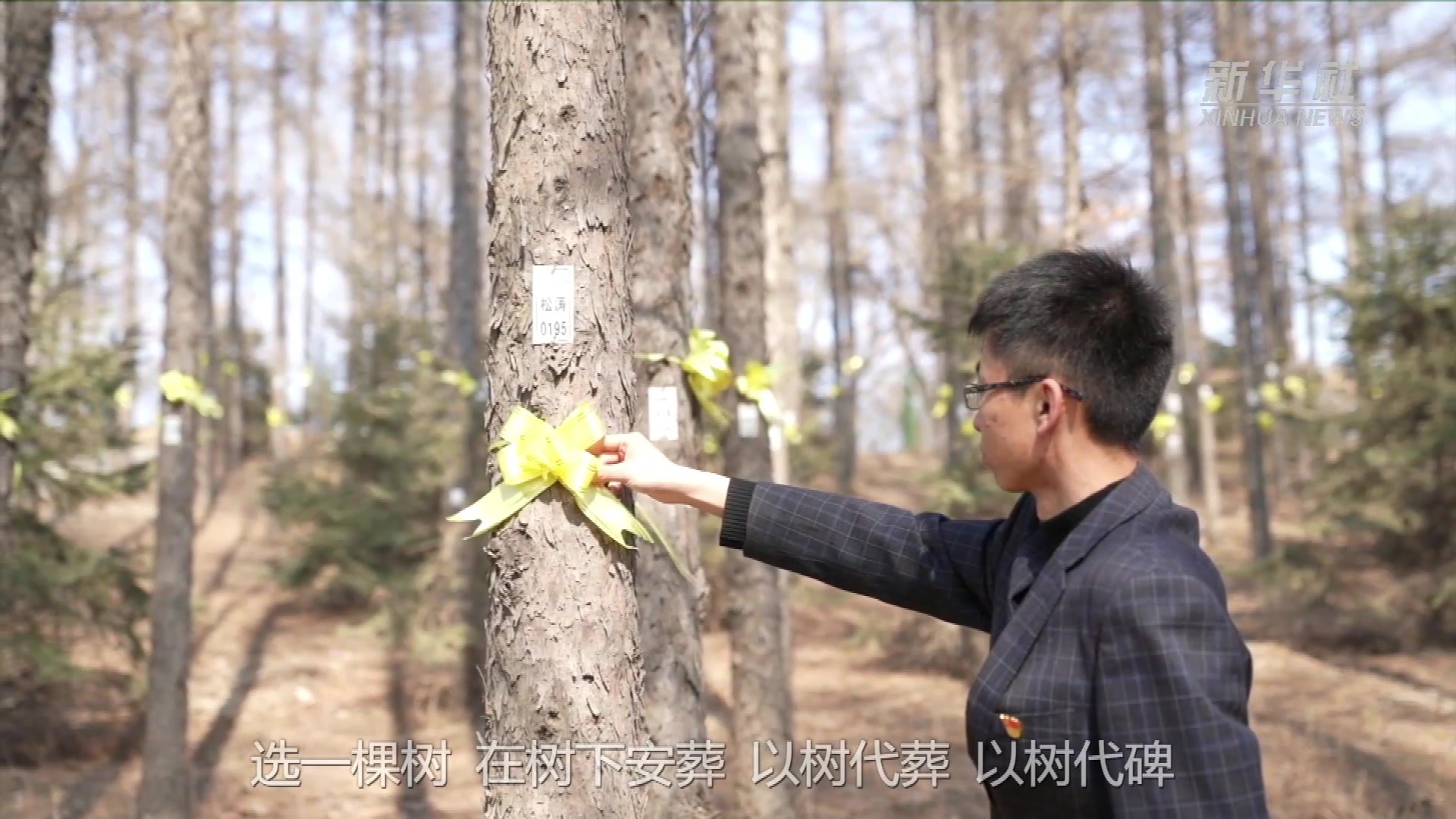 吉林辽源：清明生态树葬寄哀思_凤凰网视频_凤凰网
