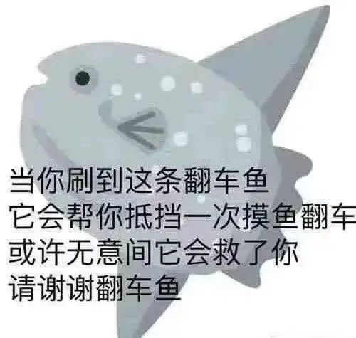 (图片来源:网络)