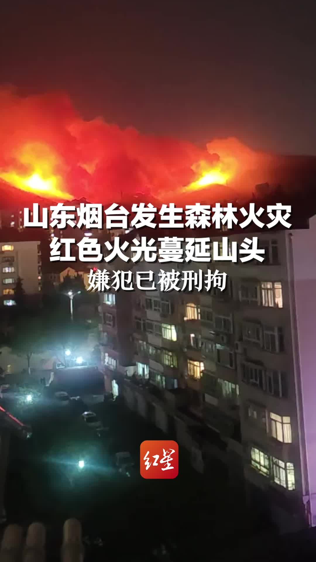 山东烟台发生森林火灾 红色火光蔓延山头，嫌犯已被刑拘