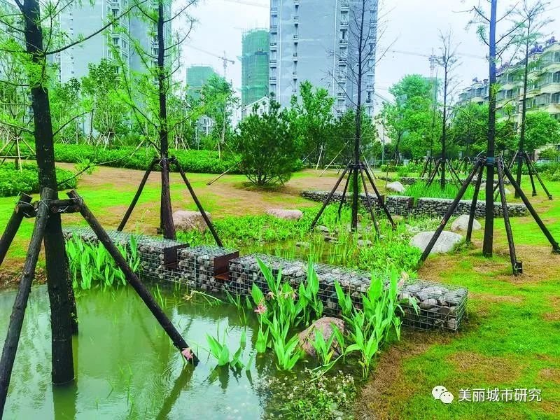 建设“会呼吸”的海绵城市，新沂的发力点在哪