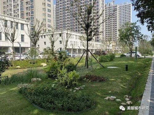 建设“会呼吸”的海绵城市，新沂的发力点在哪