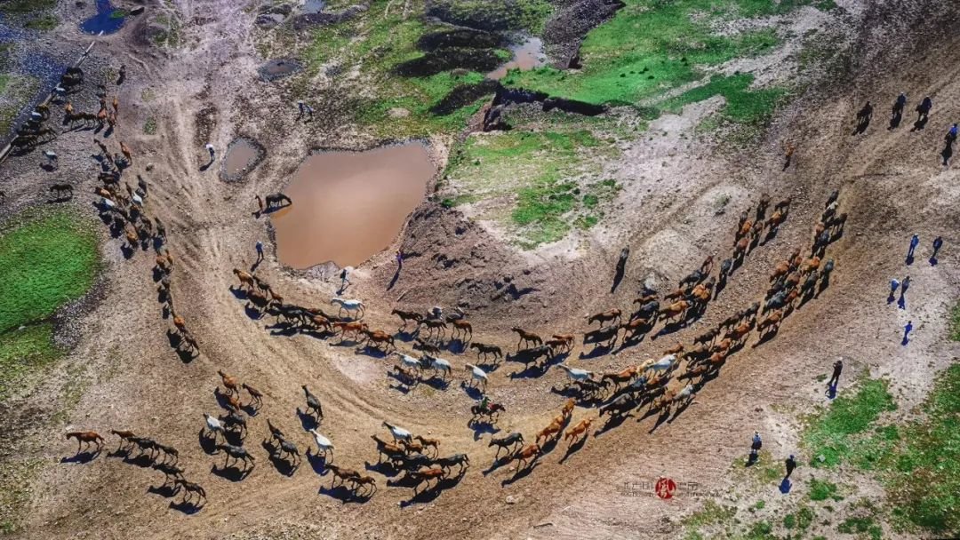 山丹军马场一场 魏峰 摄