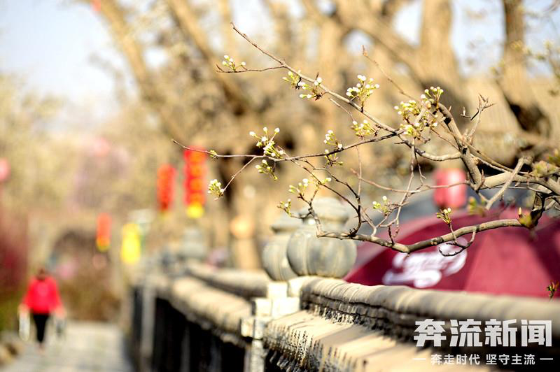 粉了！白了！红了！黄了！紫了！甘肃花式浪漫醉skr人