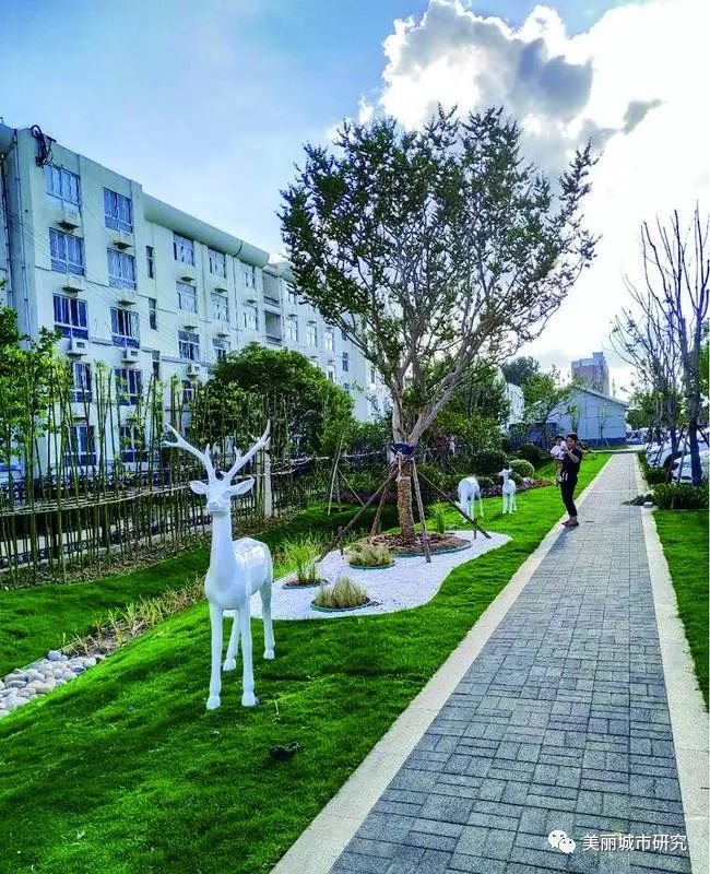 建设“会呼吸”的海绵城市，新沂的发力点在哪