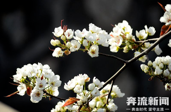 微信截图_20230411195835.png