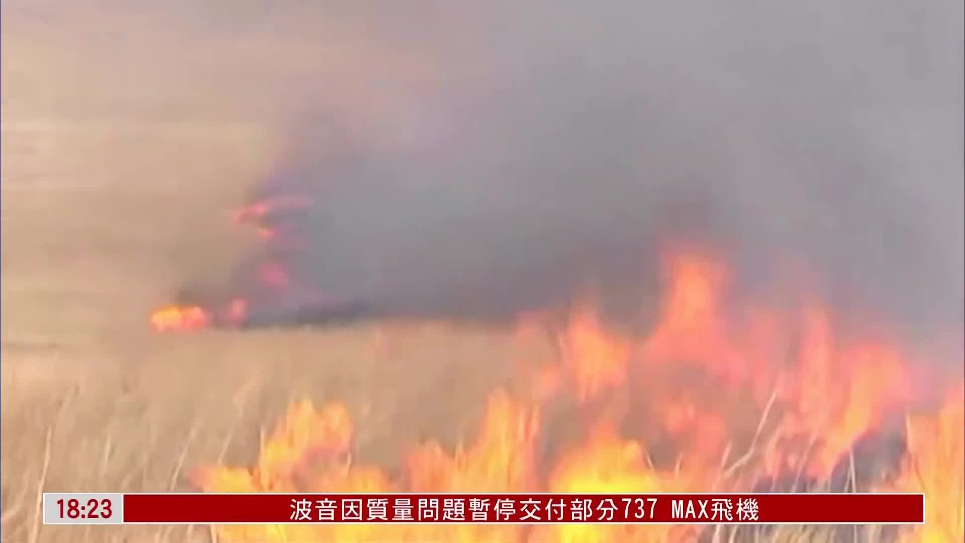 蒙古国草原野火面积逾200万公顷 上万只野生羚羊死亡