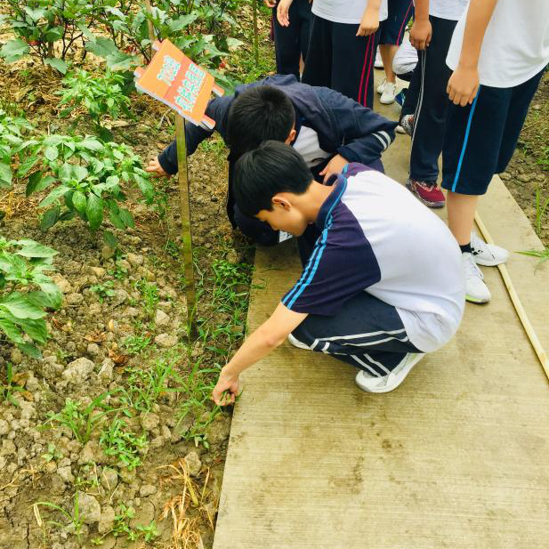 宁波海曙区阳明小学图片