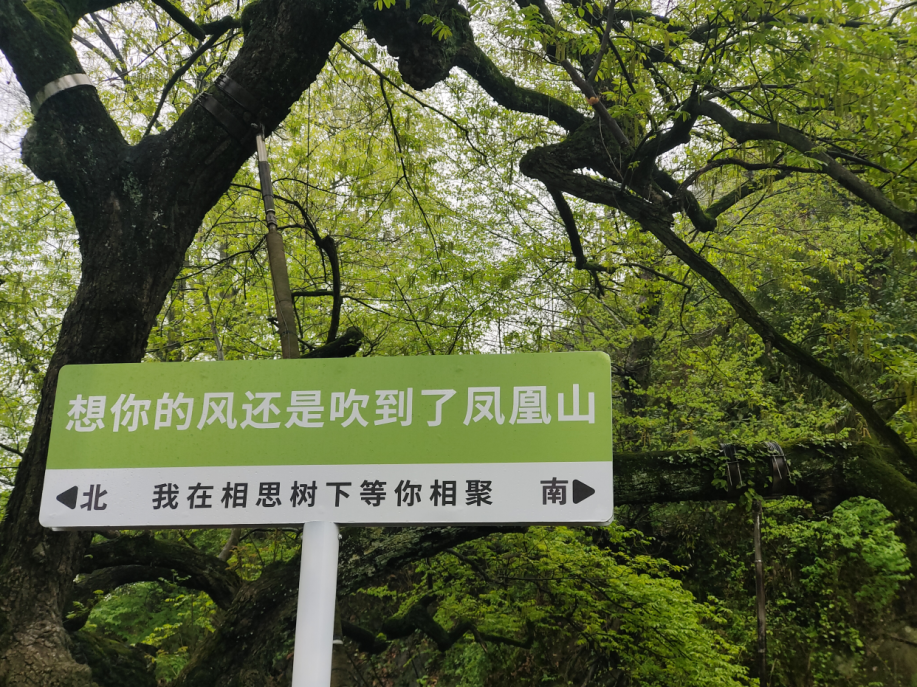 摄影/胡冰琦