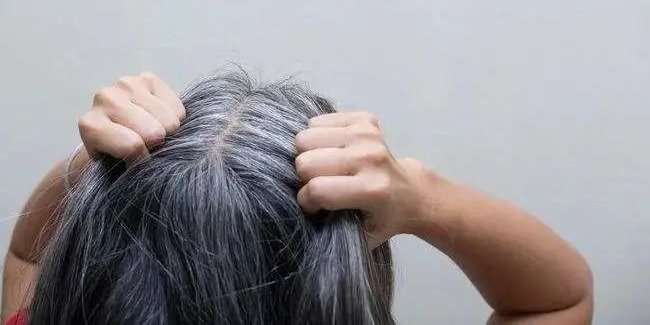 白发越长越多?用它洗头,轻松养出黑亮秀发凤凰网凰家尚品_凤凰网