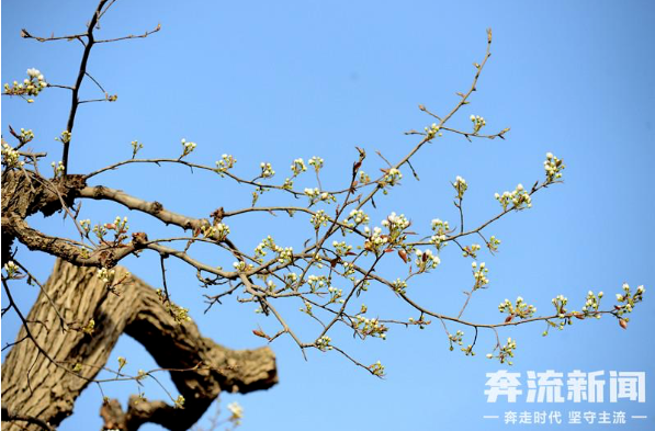 微信截图_20230411195626.png