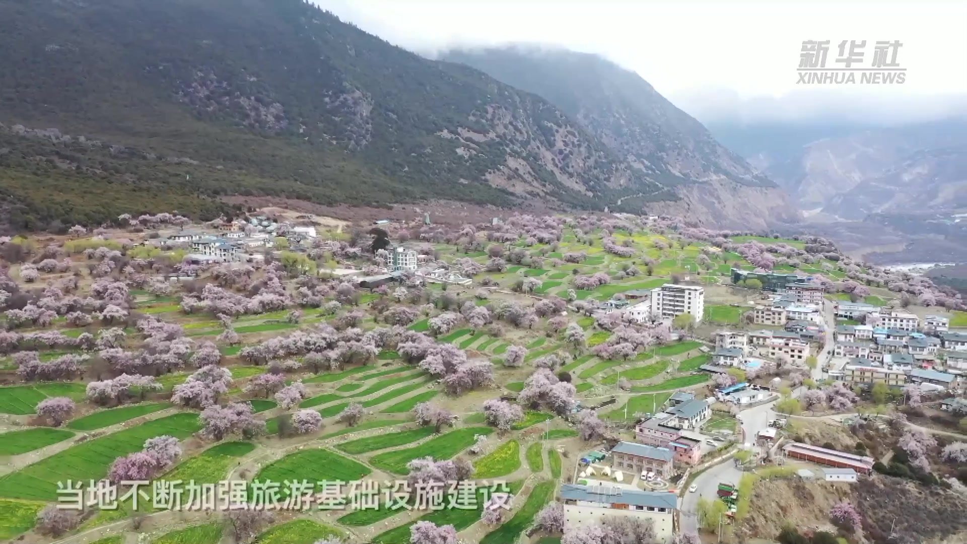 西藏索松村：小村庄绘出乡村振兴绿色图景