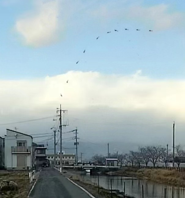 失事阿帕奇自200米高空坠地,用时仅3秒,图片根据视频多帧合成。