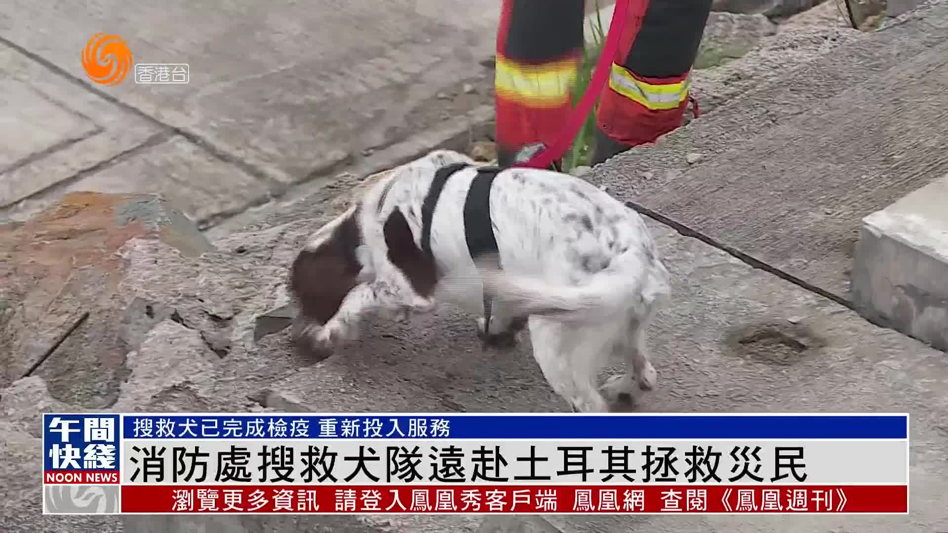 粤语报道｜赴土耳其救灾香港消防处搜救犬 完成检疫投入工作