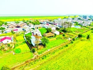 白鹤小镇再添乡村旅游精品路线