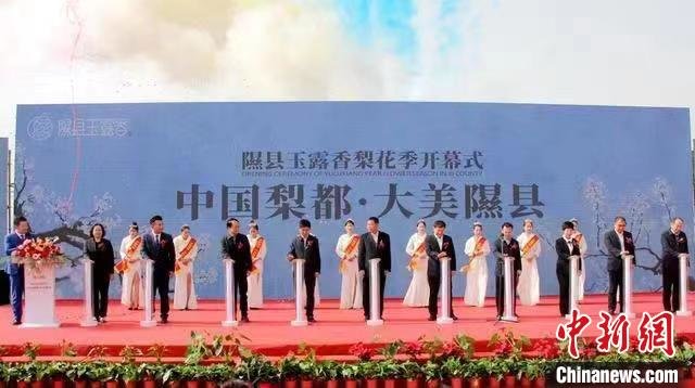万亩梨花怒放“中国梨乡”山西隰县开启梨花季系列活动