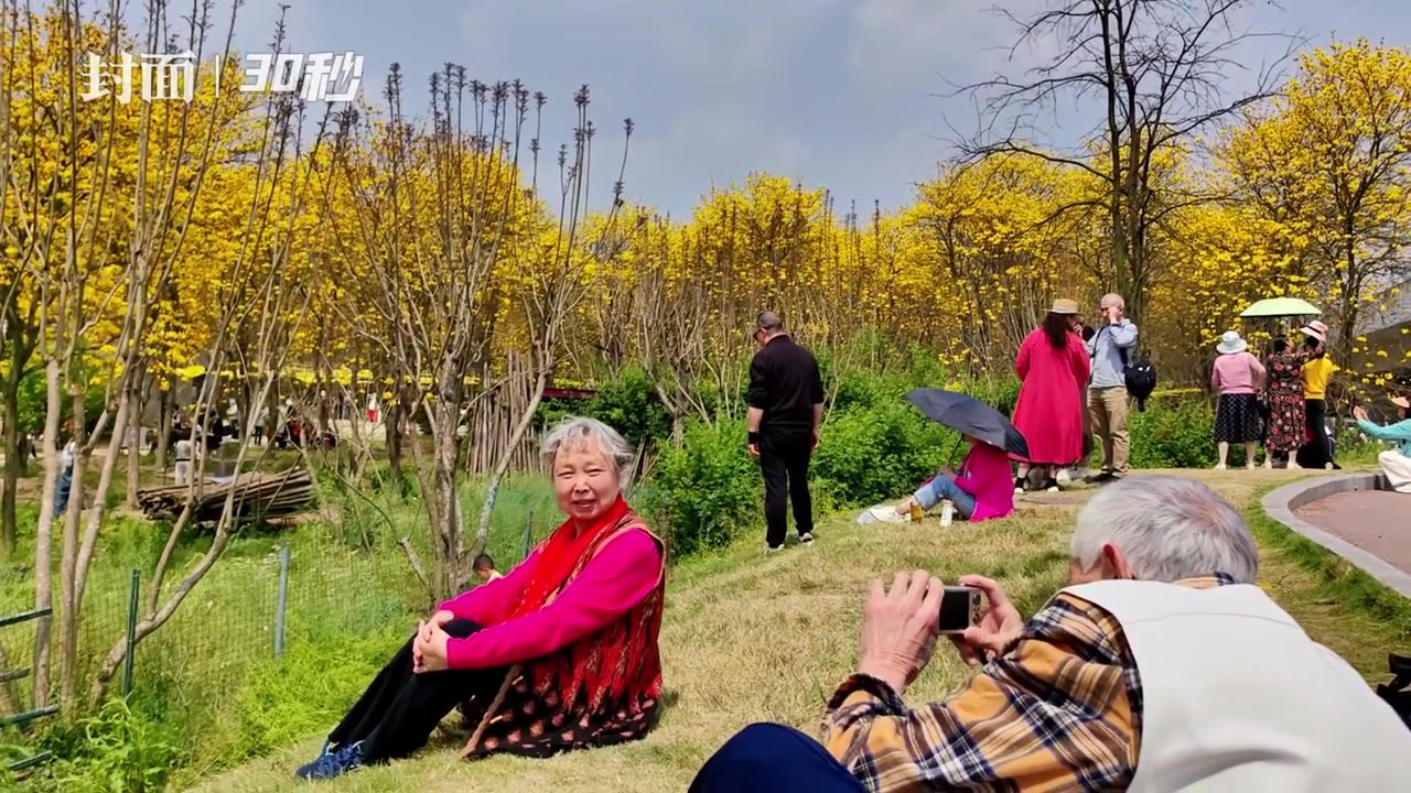 30秒｜春光明媚的周日 有列驶入金色花海的地铁带你赏花打卡