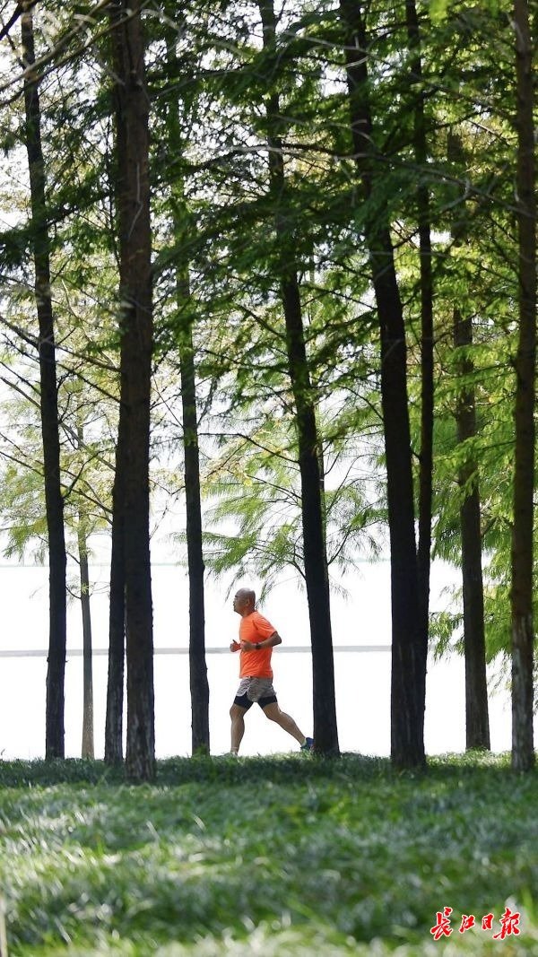 沙湖公园健康跑道。李永刚 摄