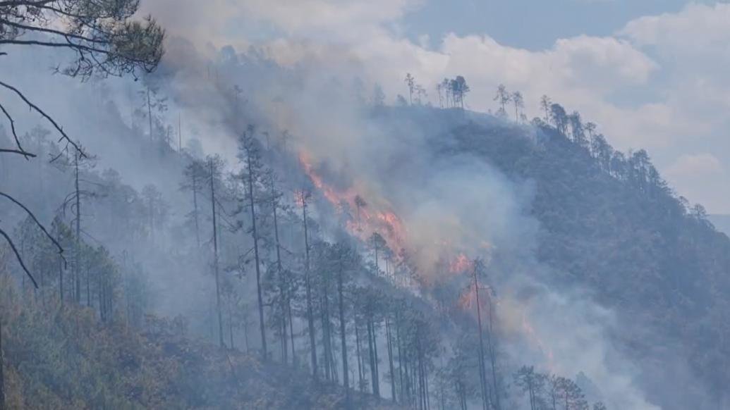 云南丽江塔城乡山火仍在扑救：山高坡陡断崖较多，800余人协助森林消防