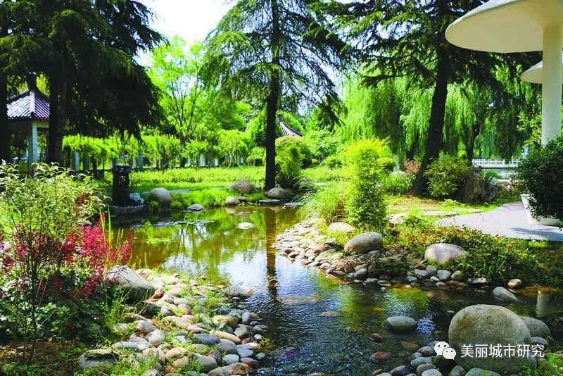 建设“会呼吸”的海绵城市，新沂的发力点在哪