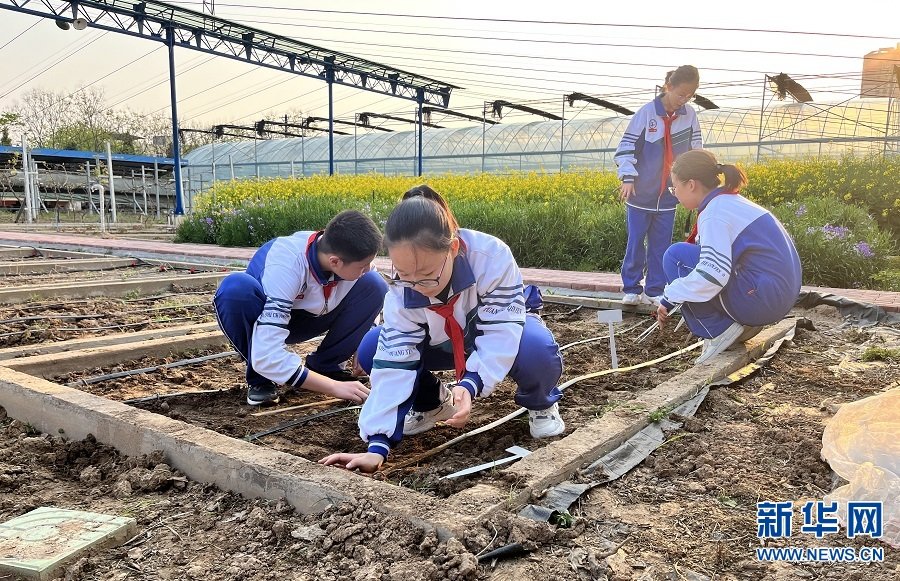 4月7日，中国农业科学院农田灌溉研究所，学生们在上农科实践课。