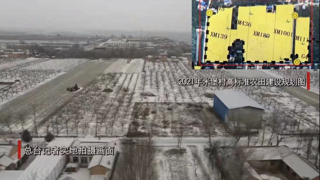 总台记者此前在齐家楼村、米堡村发现，大片果园出现在高标准农田规划地块。