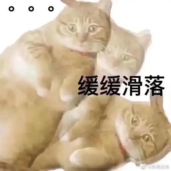 (图片来源:网络)