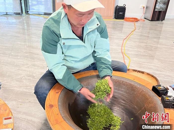 陕西汉中持续探索“茶产业+”助秦巴茶香“飘”向世界