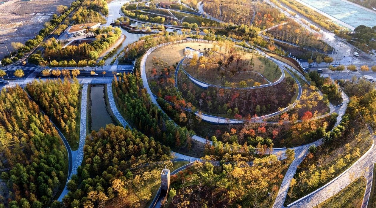 锐见桃浦高光,央企金茂肇启人居新篇 ——凤凰网房产上海