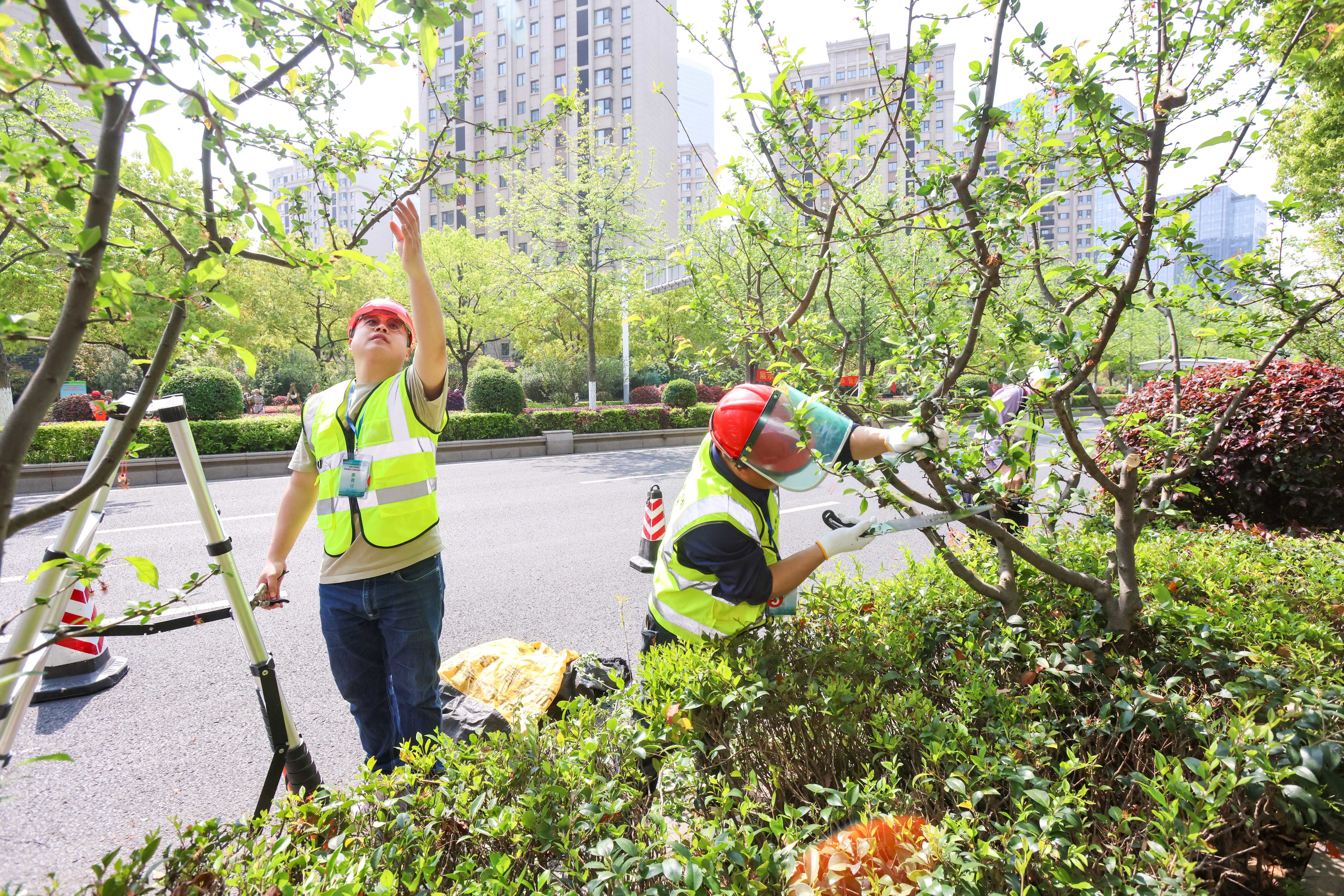 以赛长技建邺市政设施综合养护中心开展绿化修剪技能竞赛