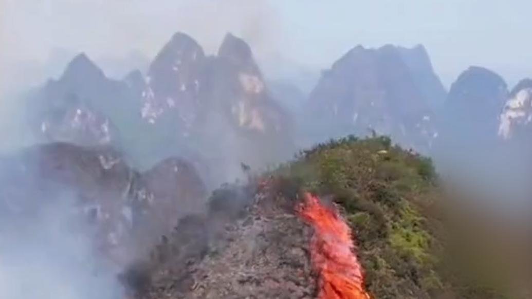 广西河池山火已全部扑灭，一名犯罪嫌疑人被传唤