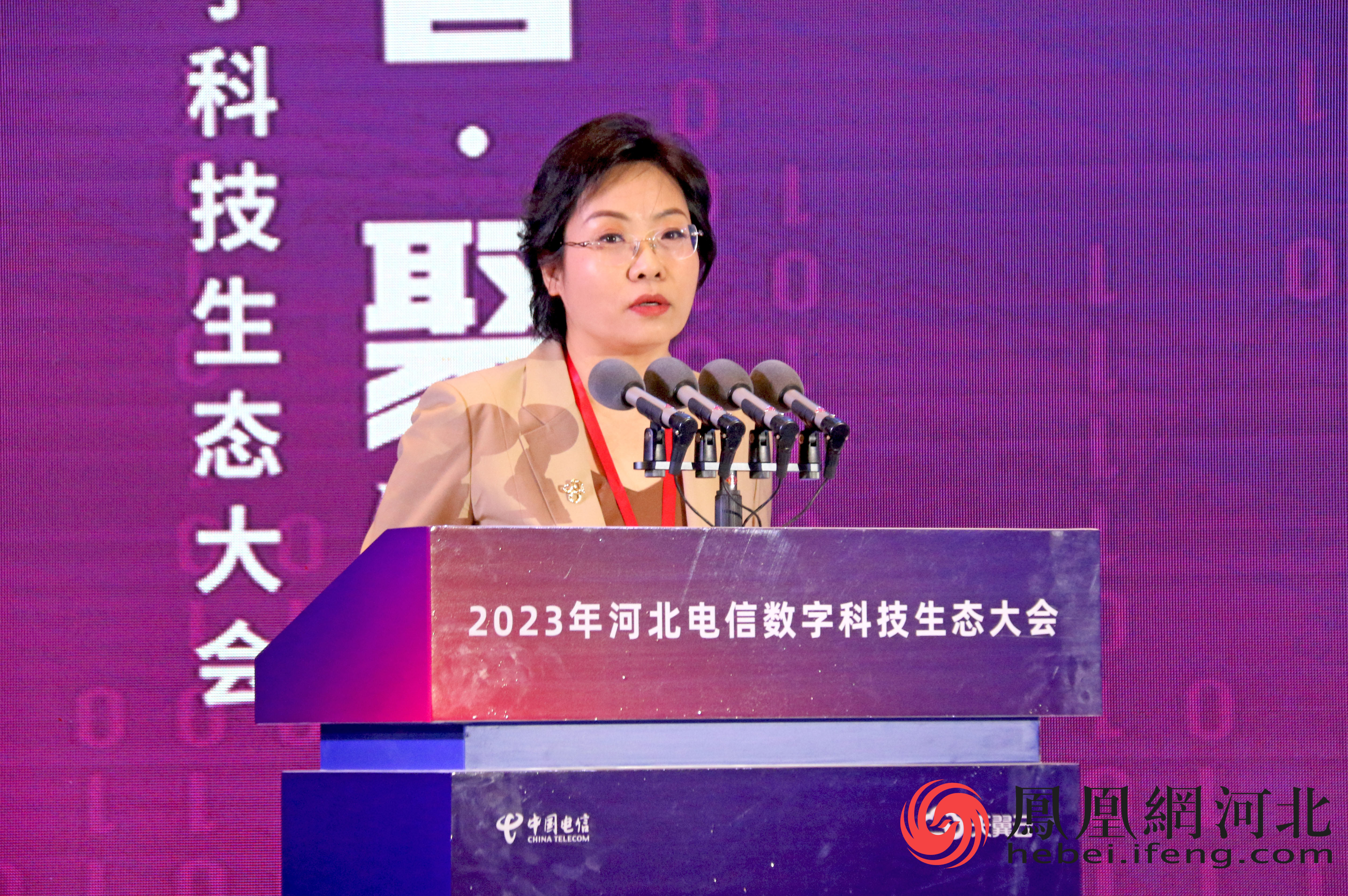 中国电信股份有限公司河北分公司市场部总经理魏雅丽进行河北电信市场政策的解读