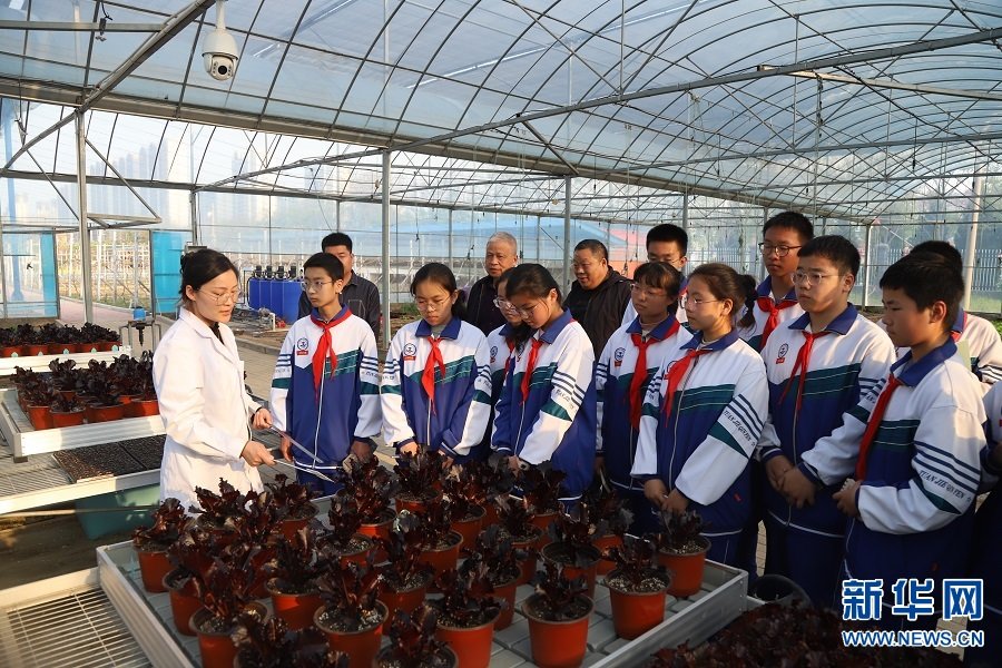 4月7日，中国农业科学院农田灌溉研究所的专家在指导学生上农科实践课。